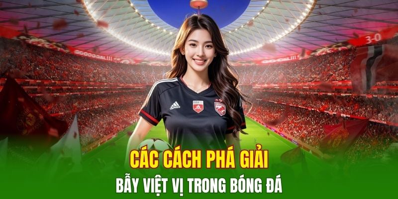 bay-viet-vi-pha-giai