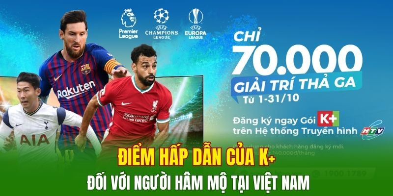 diem-hap-dan-cua-k-doi-voi-nguoi-ham-mo-tai-viet-nam